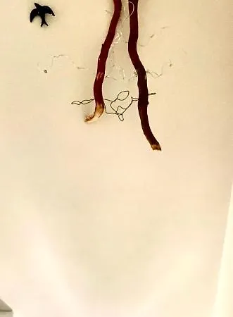 Epi-center *